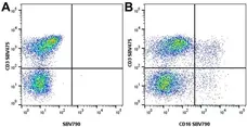 Anti Pig CD3 Antibody, clone PPT3 gallery image 7