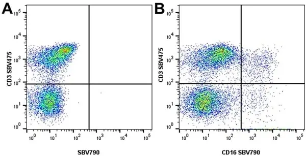 Anti Pig CD3 Antibody, clone PPT3 gallery image 7