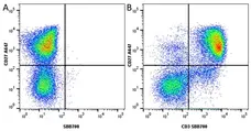 Anti Pig CD3 Antibody, clone PPT3 gallery image 9