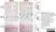Anti Pig CD31 Antibody, clone LCI-4 thumbnail image 5