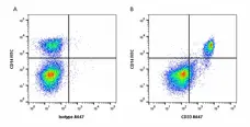 Anti Pig CD33 Antibody, clone 5D5 gallery image 1