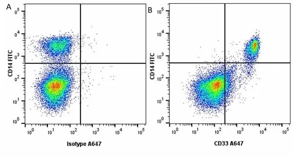 Anti Pig CD33 Antibody, clone 5D5 gallery image 2
