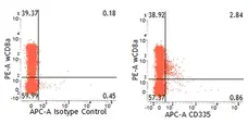 Anti Pig CD335 Antibody, clone VIV-KM1 gallery image 1