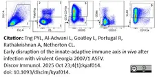 Anti Pig CD335 Antibody, clone VIV-KM1 gallery image 16
