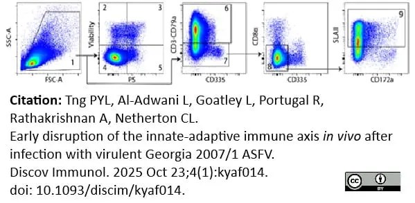 Anti Pig CD335 Antibody, clone VIV-KM1 gallery image 16