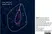 Anti Pig CD335 Antibody, clone VIV-KM1 thumbnail image 8