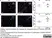 Anti Pig CD4 Alpha Antibody, clone MIL17 thumbnail image 11