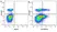 Anti Pig CD4 Alpha Antibody, clone MIL17 thumbnail image 15