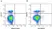 Anti Pig CD4 Alpha Antibody, clone MIL17 thumbnail image 17