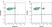 Anti Pig CD4 Alpha Antibody, clone MIL17 thumbnail image 2