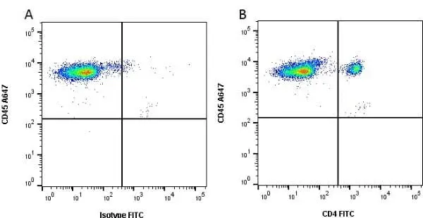 Anti Pig CD4 Alpha Antibody, clone MIL17 gallery image 2