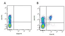 Anti Pig CD4 Alpha Antibody, clone MIL17 gallery image 5