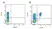 Anti Pig CD4 Alpha Antibody, clone MIL17 thumbnail image 5