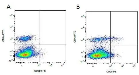 Anti Pig CD4 Alpha Antibody, clone MIL17 gallery image 7