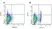 Anti Pig CD4 Alpha Antibody, clone MIL17 thumbnail image 8