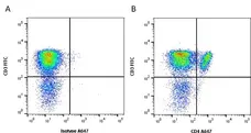 Anti Pig CD4 Antibody, clone b38c6c7 gallery image 1