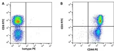 Anti Pig CD44 Antibody, clone MAC329 gallery image 1