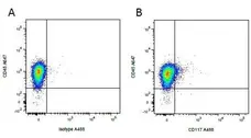 Anti Pig CD45 Antibody, clone K252.1E4 gallery image 10