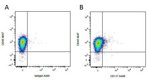 Anti Pig CD45 Antibody, clone K252.1E4 gallery image 11