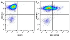 Anti Pig CD45 Antibody, clone K252.1E4 gallery image 14