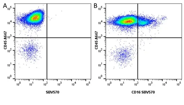 Anti Pig CD45 Antibody, clone K252.1E4 gallery image 14