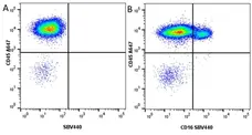 Anti Pig CD45 Antibody, clone K252.1E4 gallery image 15