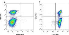 Anti Pig CD45 Antibody, clone K252.1E4 gallery image 2