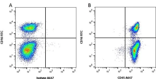 Anti Pig CD45 Antibody, clone K252.1E4 | Bio-Rad