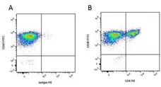 Anti Pig CD45 Antibody, clone K252.1E4 gallery image 4