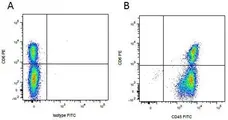 Anti Pig CD45 Antibody, clone K252.1E4 gallery image 5