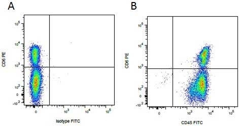 Anti Pig CD45 Antibody, clone K252.1E4 thumbnail image 5