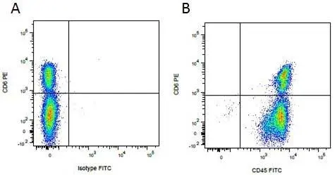 Anti Pig CD45 Antibody, clone K252.1E4 gallery image 5