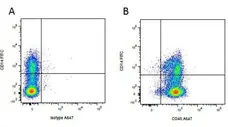 Anti Pig CD45 Antibody, clone K252.1E4 gallery image 6