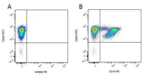 Anti Pig CD45 Antibody, clone K252.1E4 gallery image 8
