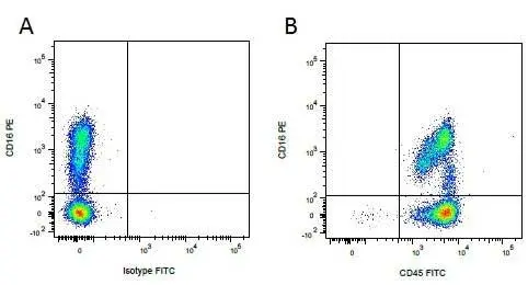 Anti Pig CD45 Antibody, clone K252.1E4 gallery image 9