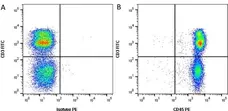 Anti Pig CD45 Allotypic Variant Antibody, clone MAC323 gallery image 4