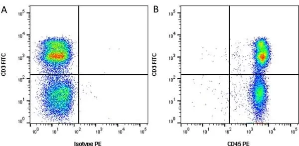 Anti Pig CD45 Allotypic Variant Antibody, clone MAC323 gallery image 4