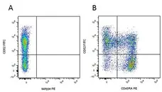 Anti Pig CD45RA Antibody, clone MIL13 gallery image 2