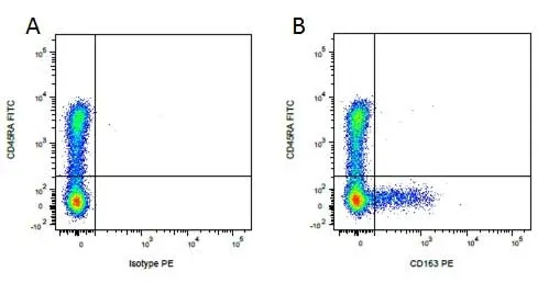 Anti Pig CD45RA Antibody, clone MIL13 gallery image 4