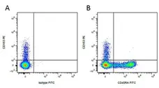 Anti Pig CD45RA Antibody, clone MIL13 gallery image 5