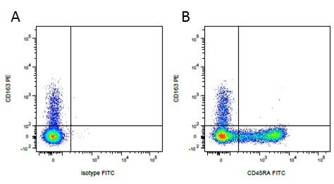 Anti Pig CD45RA Antibody, clone MIL13 gallery image 5