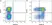 Anti Pig CD45RC Antibody, clone 3a56 thumbnail image 3