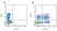 Anti Pig CD45RC Antibody, clone MIL15 thumbnail image 1