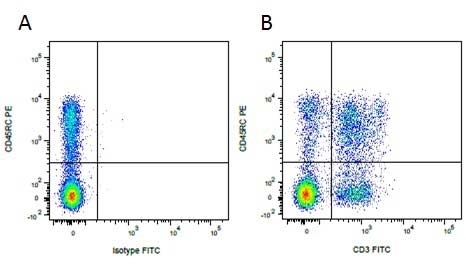 Anti Pig CD45RC Antibody, clone MIL15 gallery image 2