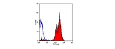 Anti Pig CD46 Antibody, clone 6D8/8 gallery image 1