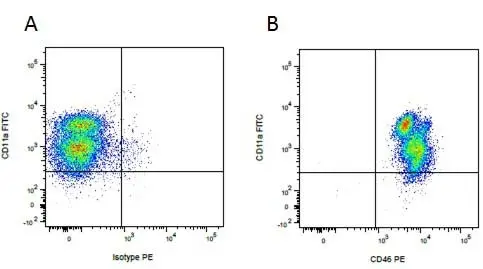 Anti Pig CD46 Antibody, clone JM6C11 gallery image 3