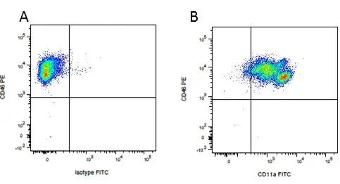 Anti Pig CD46 Antibody, clone JM6C11 gallery image 4