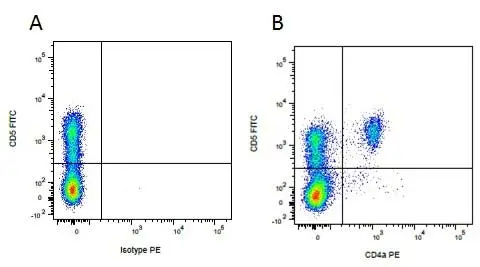 Anti Pig CD5 Antibody, clone 1H6/8 gallery image 2