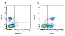 Anti Pig CD5 Antibody, clone 1H6/8 gallery image 3