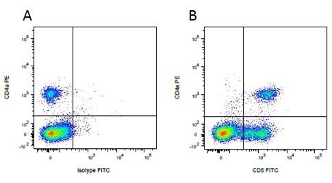 Anti Pig CD5 Antibody, clone 1H6/8 gallery image 3